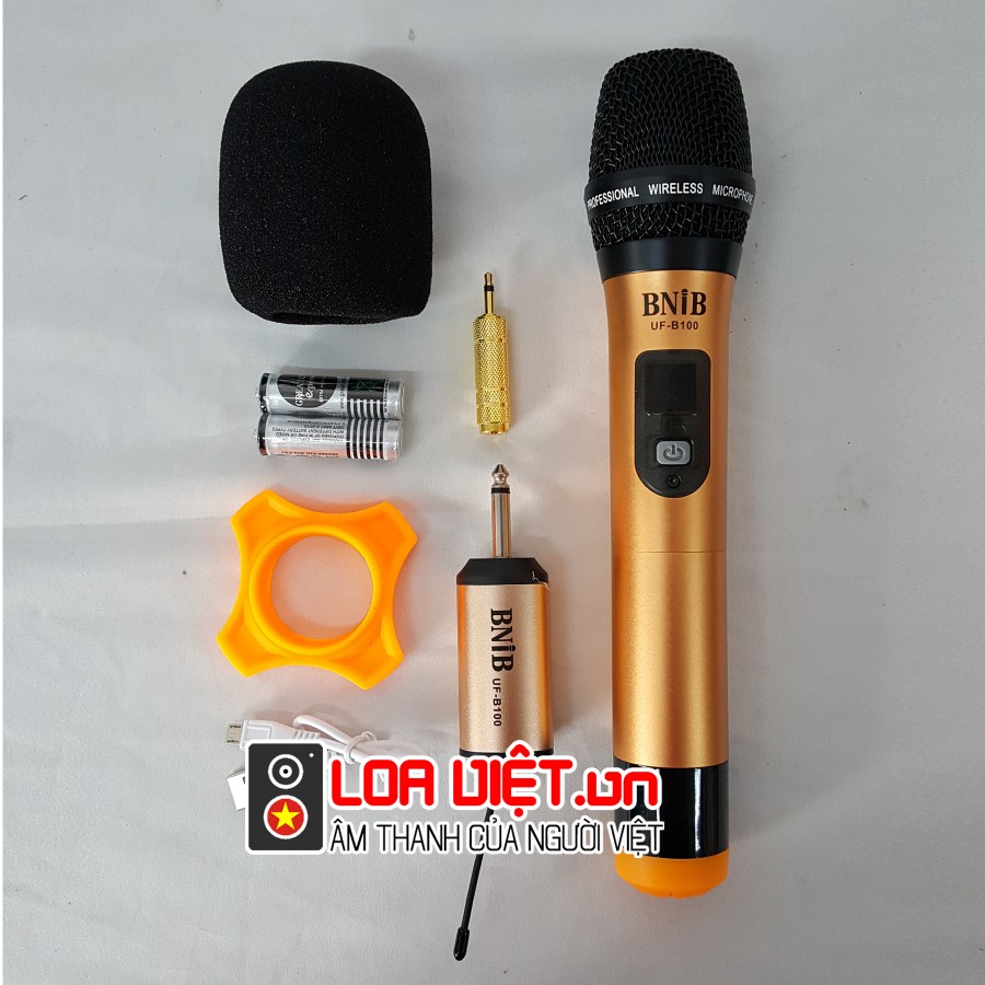 Micro không dây BNIB B100 
